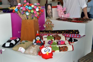 31-08-2017 Centro Público Estadual de Economia Solidária - fotos Luciana Bessa (290)