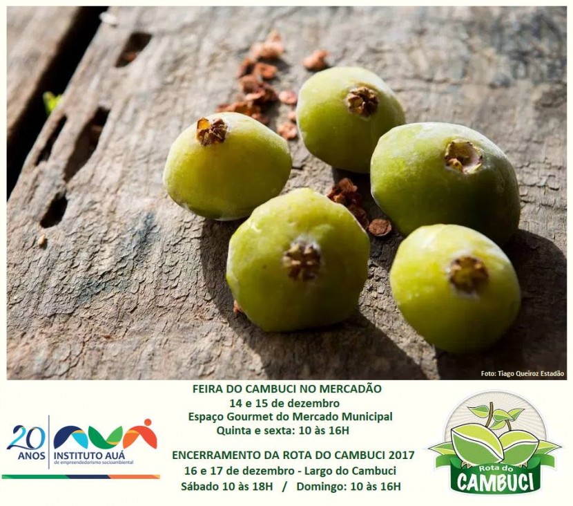 Feira Do Cambuci No Mercadão e o Encerramento da Rota do Cambuci