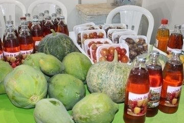 Feira da Agricultura Familiar é destaque na 67° Expoapi