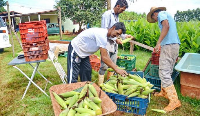 Projeto prioriza a produção orgânica e cria aplicativo de celular para receber encomendas