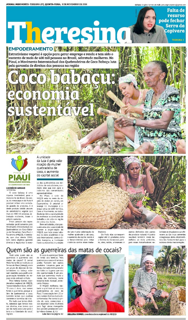 Conheça a Experiência do Coco babaçu, economia sustentável