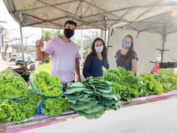 Redes sociotécnicas na construção da economia solidária