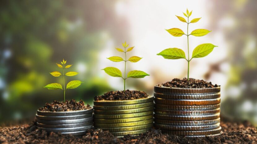 Estão abertas as inscrições para conferência sobre economia solidária