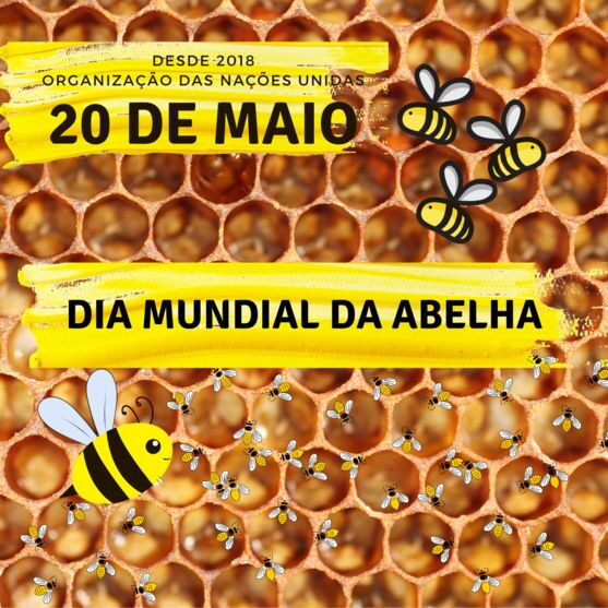 Casa do Mel homenageia Dia Mundial da Abelha