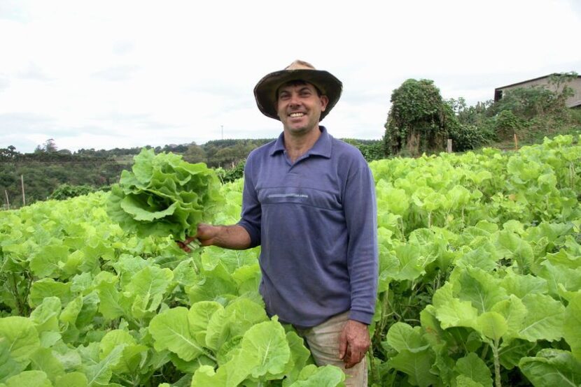 Apucarana/PR prepara operacionalização do Programa Feira Verde