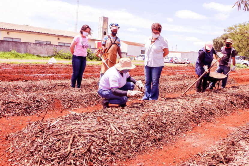 Centro Social Urbano ganha horta solidária em Apucarana/PR