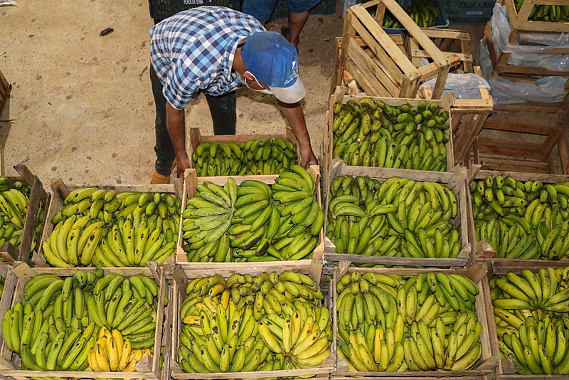 Economia Popular Solidária: saiba mais sobre o evento que acontece em Porto Alegre (RS)