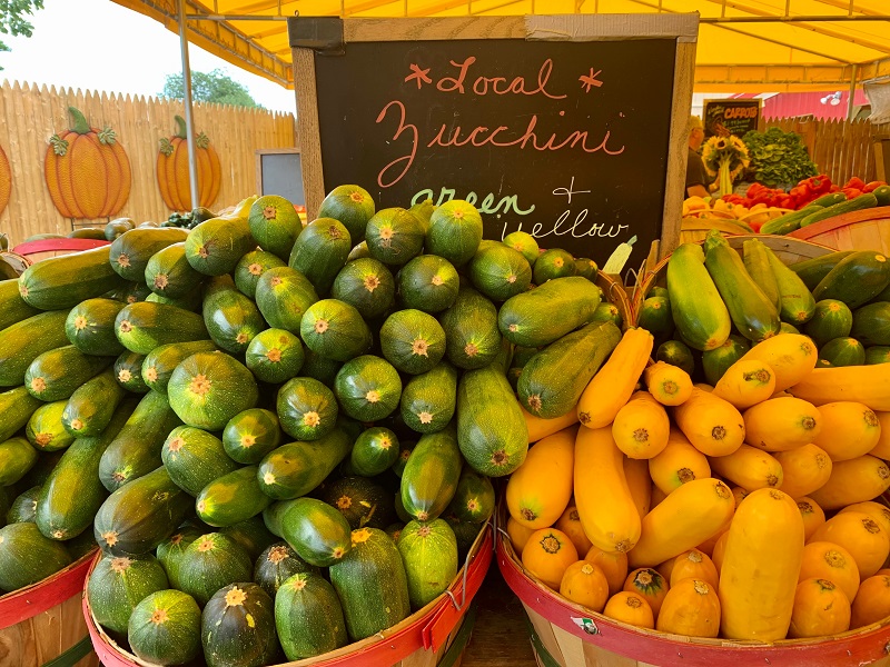 Seu dinheiro pode viver mais se for mais solidário