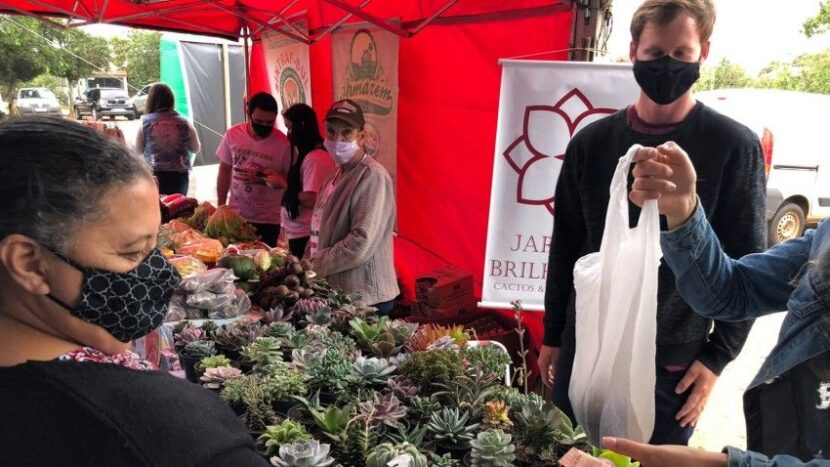 Feira da Economia Solidária e Agricultura Familiar acontece neste sábado, em Camaquã, Porto Alegre/RS